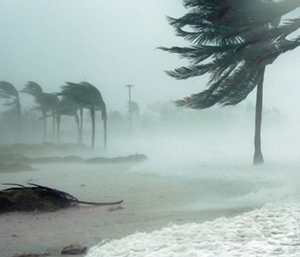 Trees and water being blown around during a hurricane